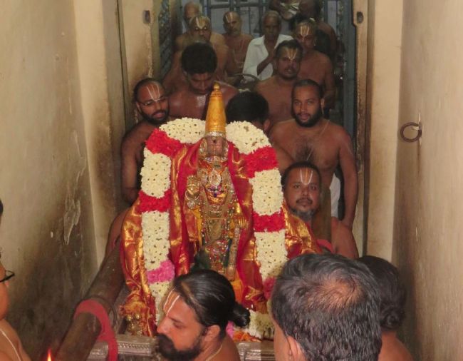 Kanchi Sri Devarajaswami Temple Manmadha Purattasi Pournami Purappadu 2015-31.jpg