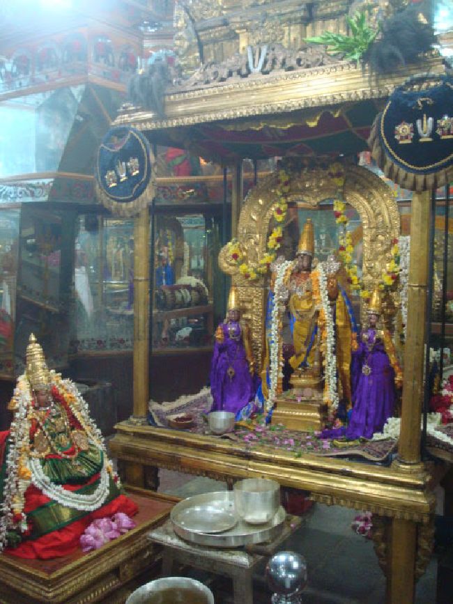 Kanchi Sri Devarajaswami Temple Navarathri utsavam DAY 3 2015-30.jpg