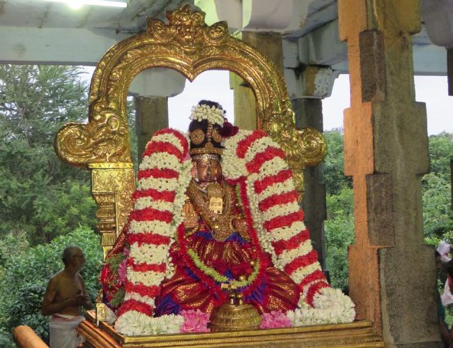 Kanchi Sri Perundhevi Thayar 4th Purattasi Sukravara Purappadu 2015-01.jpg