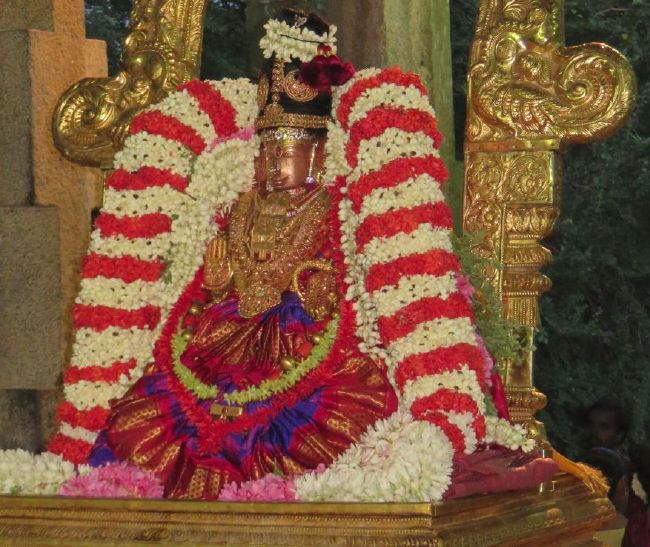 Kanchi Sri Perundhevi Thayar 4th Purattasi Sukravara Purappadu 2015-08.jpg