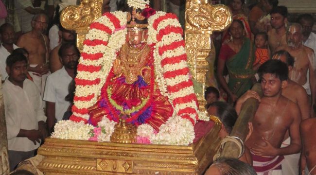 Kanchi Sri Perundhevi Thayar 4th Purattasi Sukravara Purappadu 2015-40.jpg
