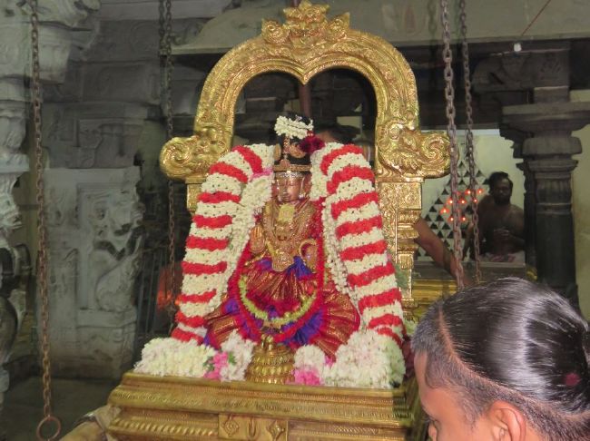 Kanchi Sri Perundhevi Thayar 4th Purattasi Sukravara Purappadu 2015-42.jpg