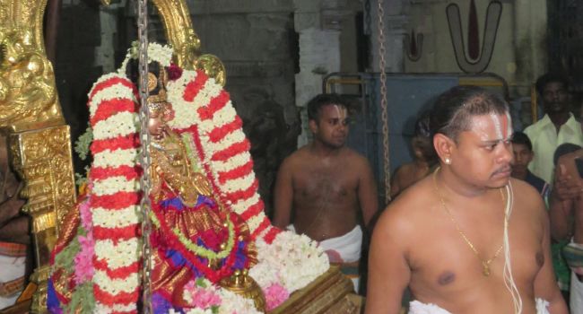 Kanchi Sri Perundhevi Thayar 4th Purattasi Sukravara Purappadu 2015-46.jpg