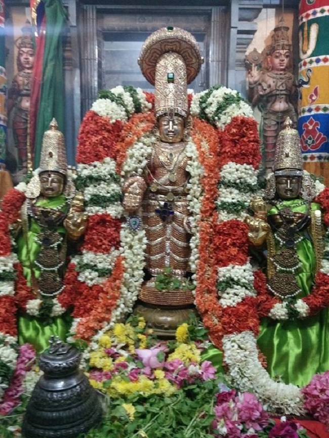 Keelkattalai Sri Srinivasa Perumal Temple Manmadha Varusha  Swami Desikan Thirunakshatra Utsavam2