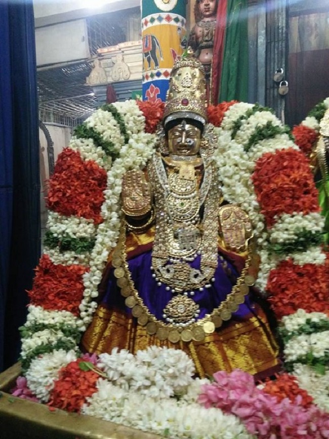 Keelkattalai Sri Srinivasa Perumal Temple Manmadha Varusha  Swami Desikan Thirunakshatra Utsavam8