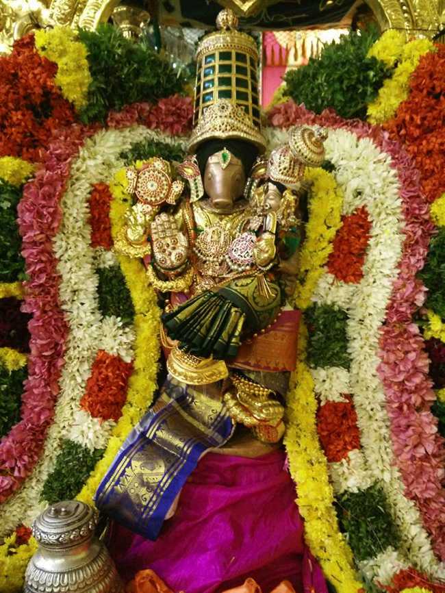 Kumbakonam-Sri-AdhiVaraha-Perumal3