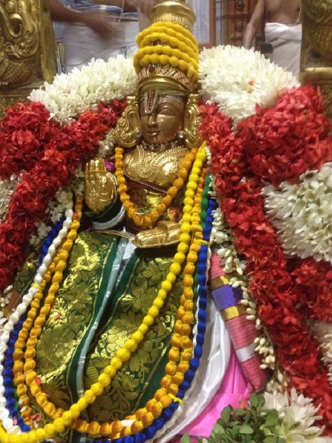 Mylapore SVDD Srinivasa Perumal Temple Manmadha Varusha Pavithrotsavam17