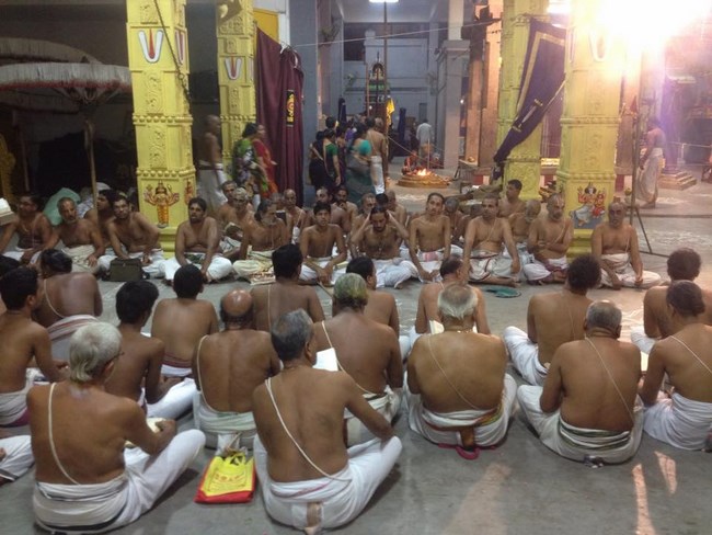 Mylapore SVDD Srinivasa Perumal Temple Manmadha Varusha Pavithrotsavam21