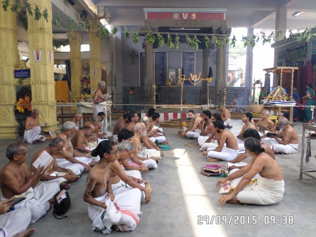 Mylapore SVDD Srinivasa Perumal Temple Manmadha Varusha Pavithrotsavam30