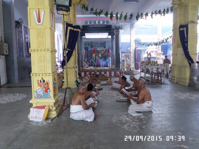 Mylapore SVDD Srinivasa Perumal Temple Manmadha Varusha Pavithrotsavam32