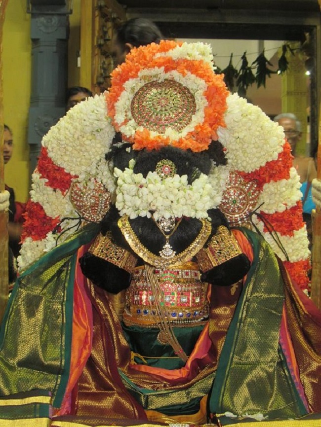 Mylapore SVDD Srinivasa Perumal Temple Swami Desikan Manmadha Varusha Thirunakshatra Utsavam Mangalasasanam15