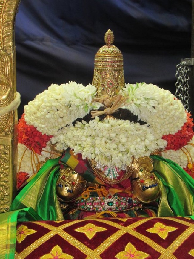 Mylapore SVDD Srinivasa Perumal Temple Swami Desikan Manmadha Varusha Thirunakshatra Utsavam Mangalasasanam25