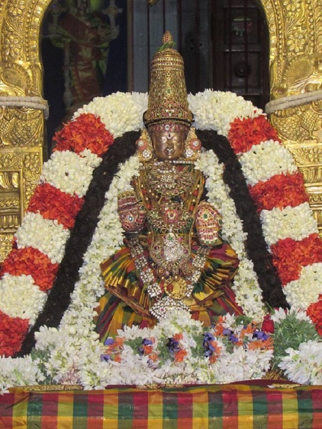 Mylapore SVDD Srinivasa Perumal Temple Swami Desikan Manmadha Varusha Thirunakshatra Utsavam Mangalasasanam8