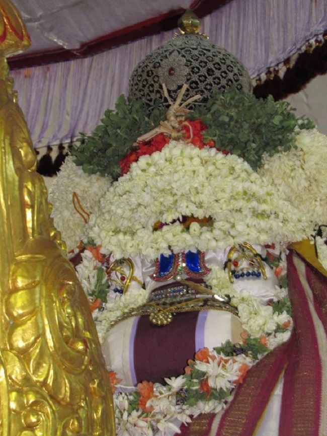 Mylapore SVDD Srinivasa Perumal Temple Swami Desikan Manmadha Varusha Thirunakshatra Utsavam19