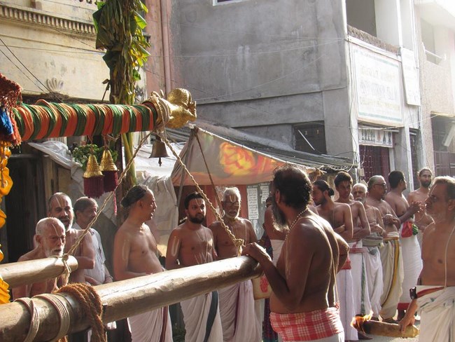 Mylapore SVDD Srinivasa Perumal Temple Swami Desikan Manmadha Varusha Thirunakshatra Utsavam3
