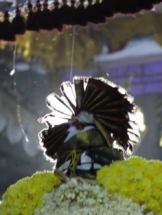 Mylapore SVDD Srinivasa Perumal Temple Swami Desikan Manmadha Varusha Thirunakshatra Utsavam6