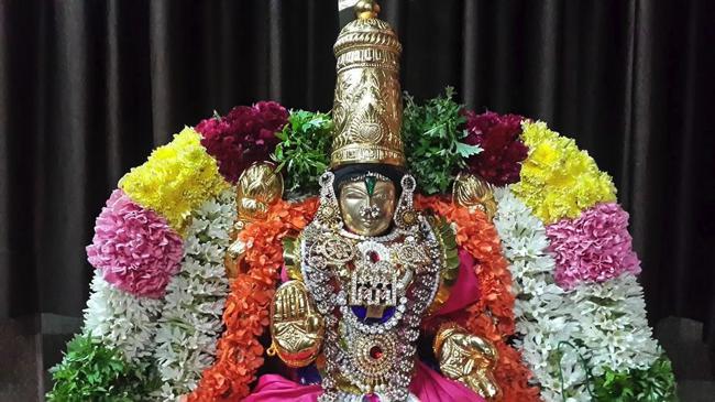 Pondicherry-Sri-Srinivasa-Perumal.3