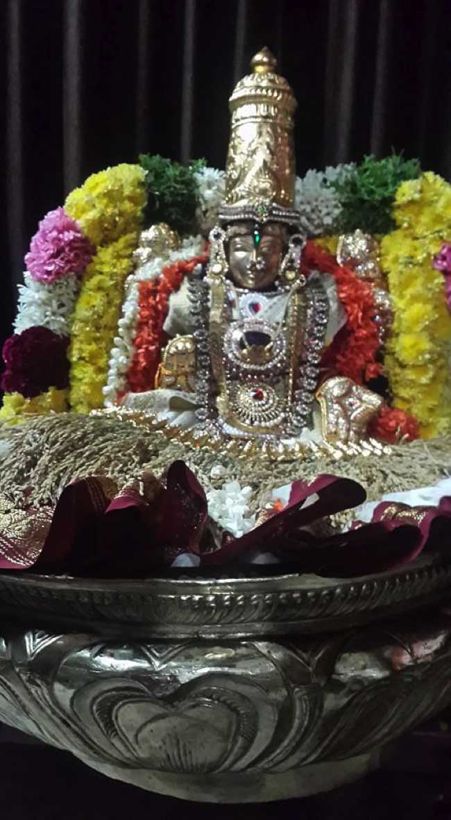 Pondicherry-Sri-Srinivasa-Perumal10