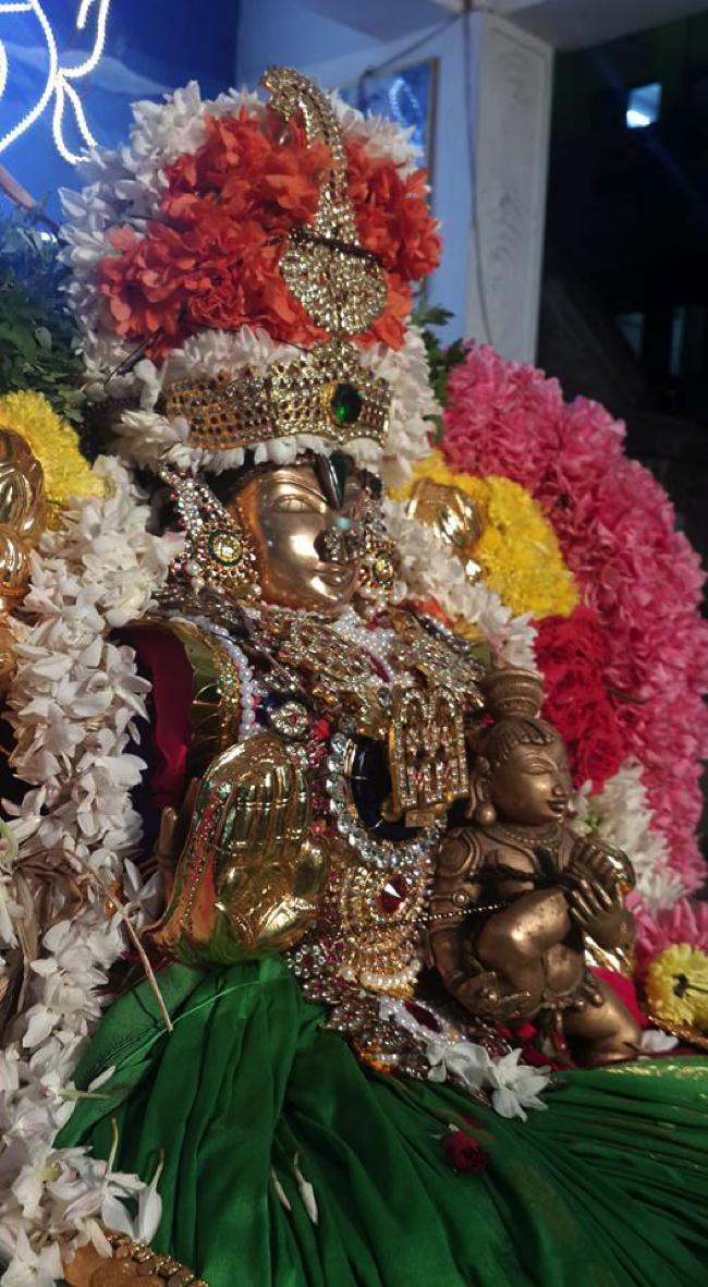 Pondicherry-Sri-Srinivasa-Perumal3