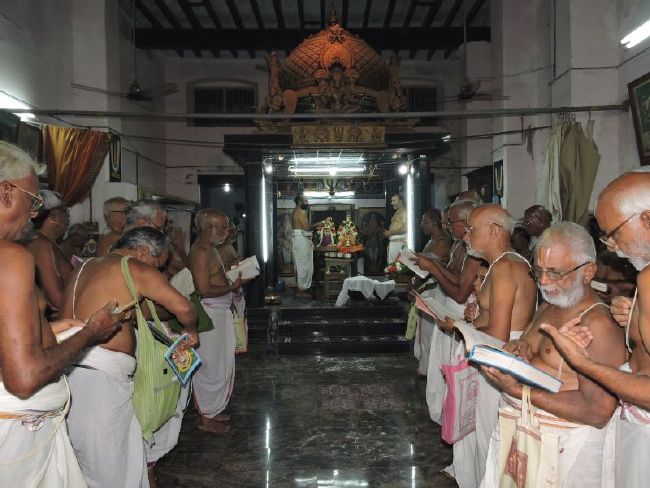 Srirangam Poundarikapuram Andavan Ashramam Swami Desikan Thirunakshatra utsavam concludes- 2015-10.jpg