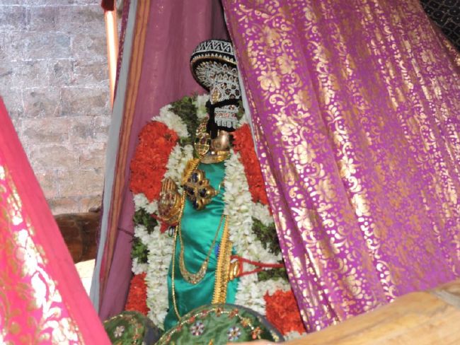 Srirangam Ranganathaswami Temple Manmadhava varusha Vijayadasami Parvettai Utsavam- 2015-06.jpg