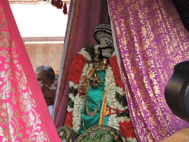 Srirangam Ranganathaswami Temple Manmadhava varusha Vijayadasami Parvettai Utsavam- 2015-08.jpg