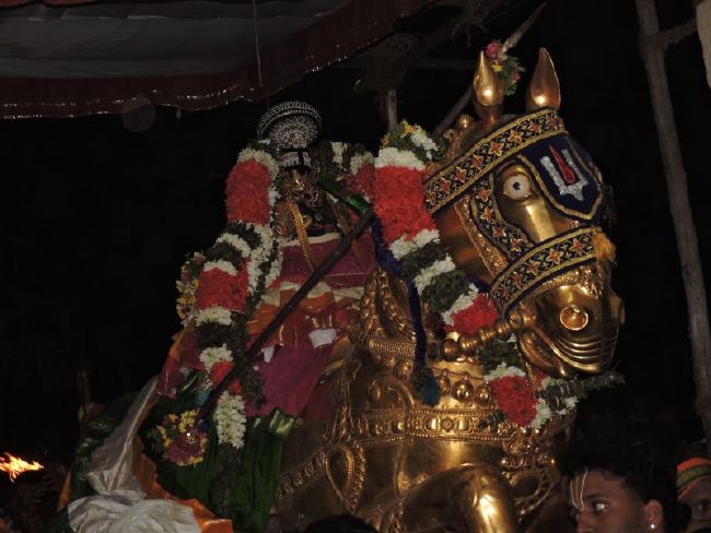 Srirangam Ranganathaswami Temple Manmadhava varusha Vijayadasami Parvettai Utsavam- 2015-22.jpg
