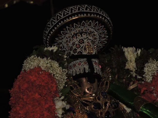 Srirangam Ranganathaswami Temple Manmadhava varusha Vijayadasami Parvettai Utsavam- 2015-23.jpg