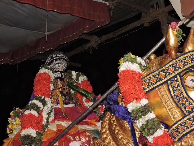 Srirangam Ranganathaswami Temple Manmadhava varusha Vijayadasami Parvettai Utsavam- 2015-26.jpg