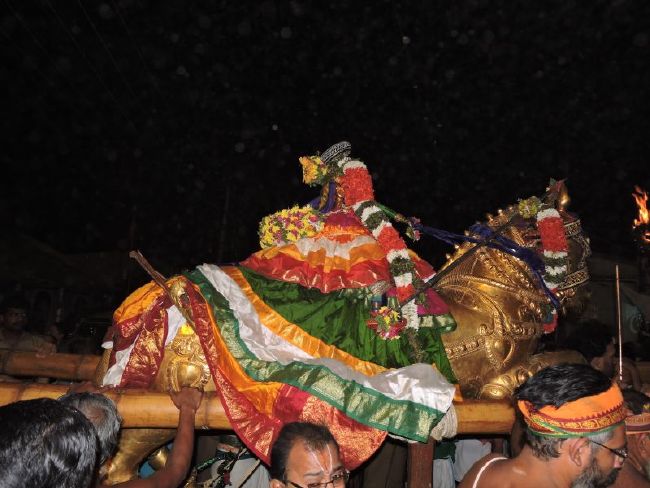 Srirangam Ranganathaswami Temple Manmadhava varusha Vijayadasami Parvettai Utsavam- 2015-33.jpg