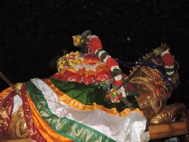 Srirangam Ranganathaswami Temple Manmadhava varusha Vijayadasami Parvettai Utsavam- 2015-40.jpg