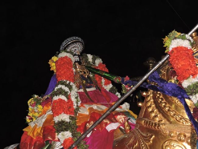 Srirangam Ranganathaswami Temple Manmadhava varusha Vijayadasami Parvettai Utsavam- 2015-41.jpg