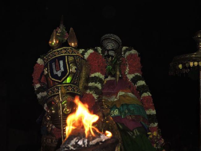 Srirangam Ranganathaswami Temple Manmadhava varusha Vijayadasami Parvettai Utsavam- 2015-46.jpg
