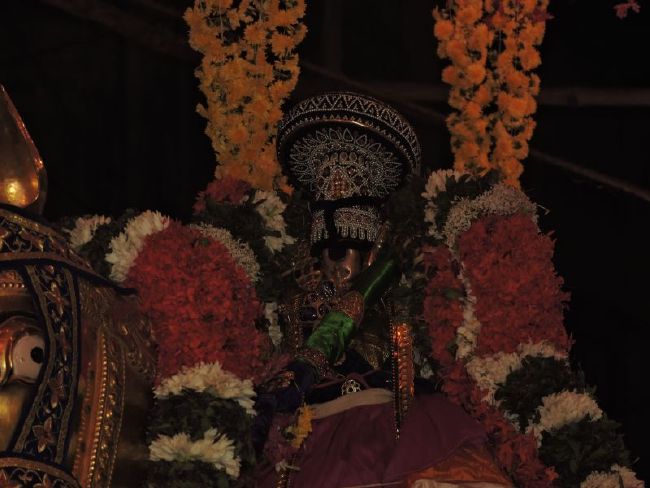 Srirangam Ranganathaswami Temple Manmadhava varusha Vijayadasami Parvettai Utsavam- 2015-53.jpg