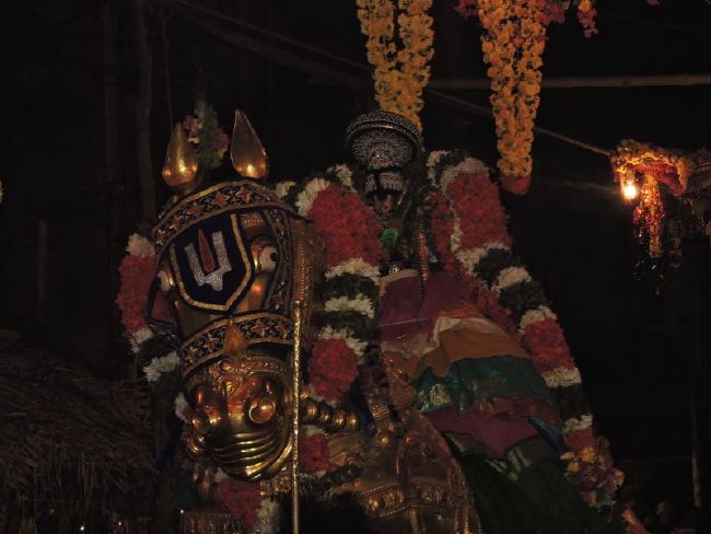 Srirangam Ranganathaswami Temple Manmadhava varusha Vijayadasami Parvettai Utsavam- 2015-54.jpg