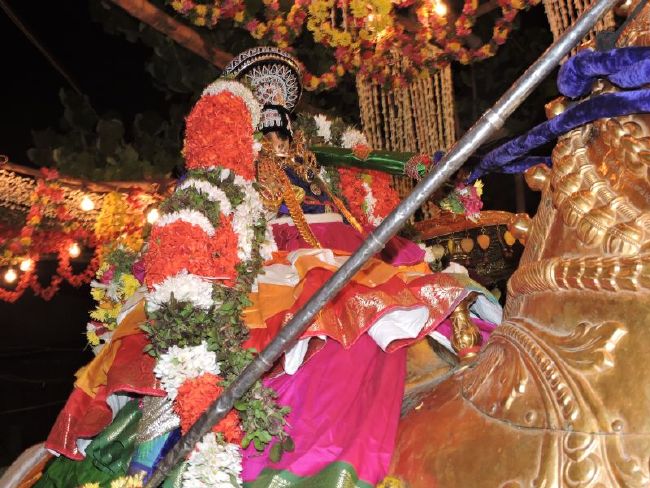 Srirangam Ranganathaswami Temple Manmadhava varusha Vijayadasami Parvettai Utsavam- 2015-57.jpg