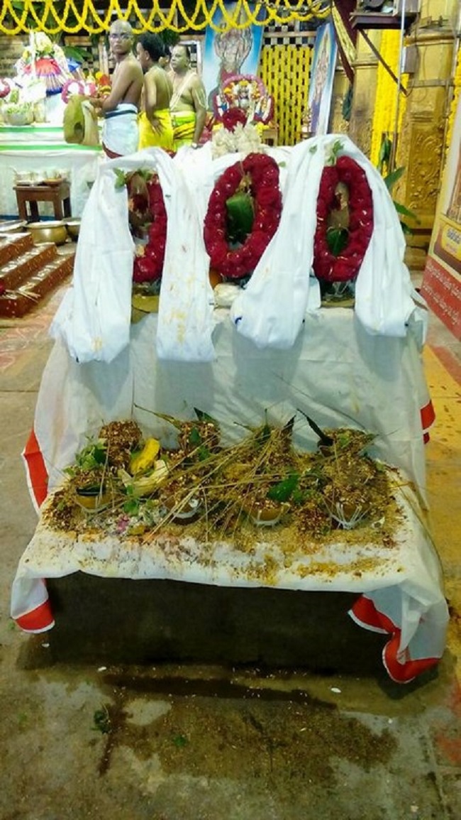 Thiruchanoor Sri Padmavathi Thayar Temple Manmadha Varusha Thiru Pavithrotsavam1