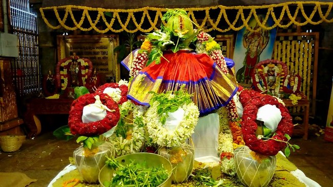 Thiruchanoor Sri Padmavathi Thayar Temple Manmadha Varusha Thiru Pavithrotsavam10