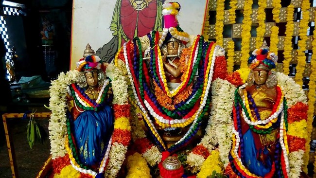 Thiruchanoor Sri Padmavathi Thayar Temple Manmadha Varusha Thiru Pavithrotsavam11