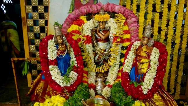 Thiruchanoor Sri Padmavathi Thayar Temple Manmadha Varusha Thiru Pavithrotsavam12