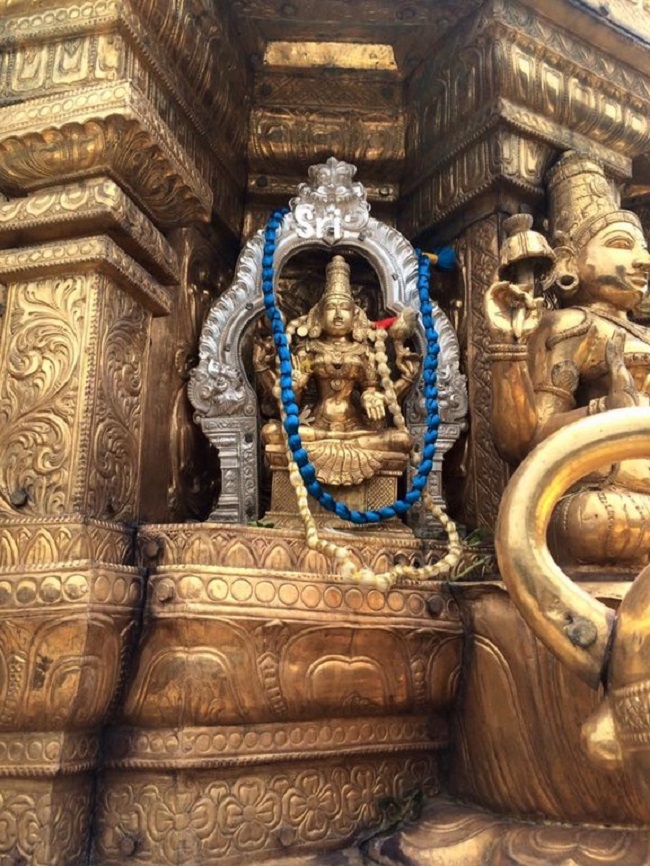 Thiruchanoor Sri Padmavathi Thayar Temple Manmadha Varusha Thiru Pavithrotsavam13
