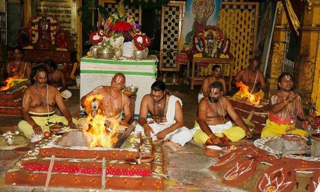 Thiruchanoor Sri Padmavathi Thayar Temple Manmadha Varusha Thiru Pavithrotsavam17