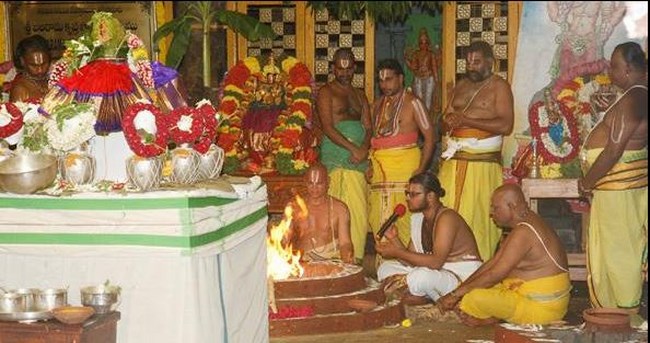 Thiruchanoor Sri Padmavathi Thayar Temple Manmadha Varusha Thiru Pavithrotsavam19