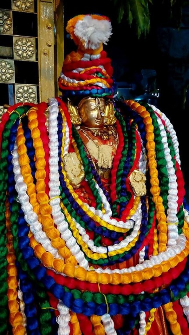 Thiruchanoor Sri Padmavathi Thayar Temple Manmadha Varusha Thiru Pavithrotsavam22