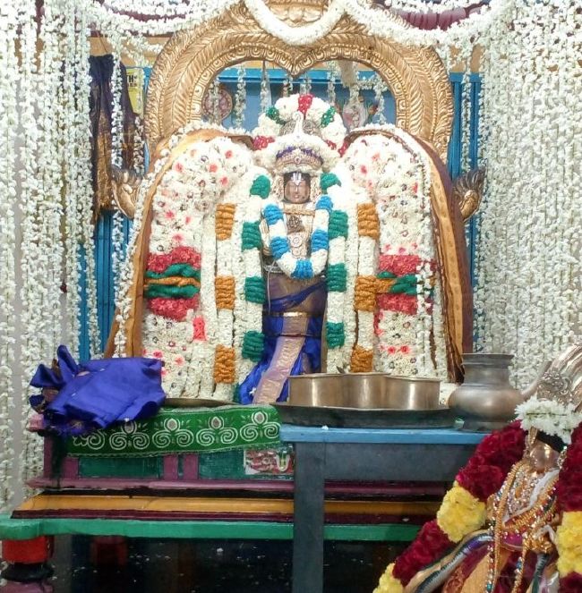 Thirukannamangai Swami Desikan Thirunakshatra Utsavam Periya Satrumurai- navaneetham distribution   2015-11.jpg
