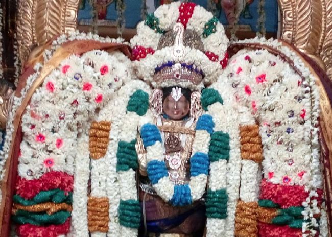 Thirukannamangai Swami Desikan Thirunakshatra Utsavam Periya Satrumurai- navaneetham distribution   2015-15.jpg