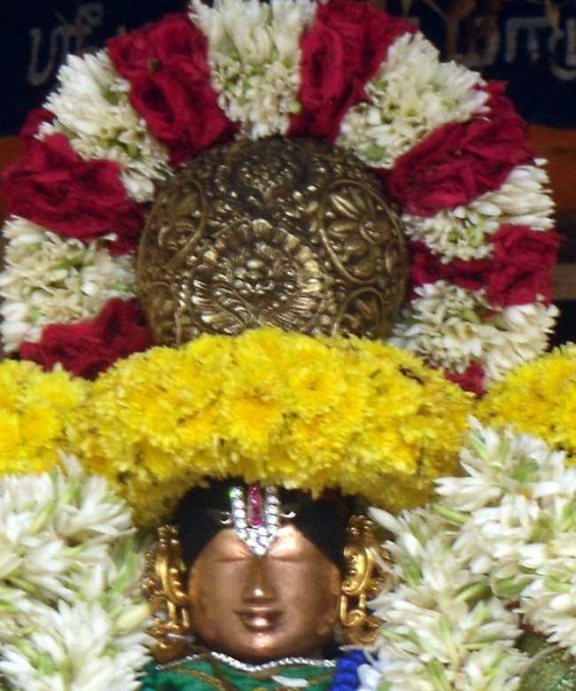 Thirukkannamangai-Sri-Bhakthavatsala-Perumal3