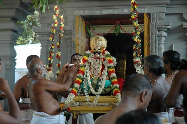 Thiruneermalai Srirangam Srimad Andavan Ashramam Manmadha Varusha Swami Desikan Thirunakshatra Mahotsavam6
