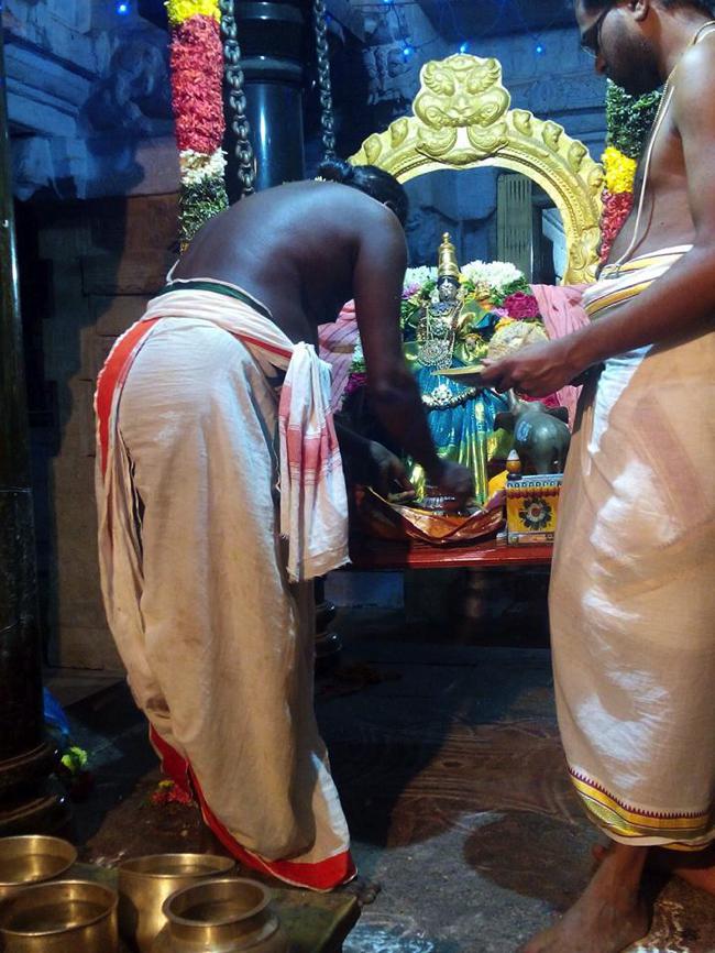 Thirupullani-Sri-Padmasini-Thayar.1