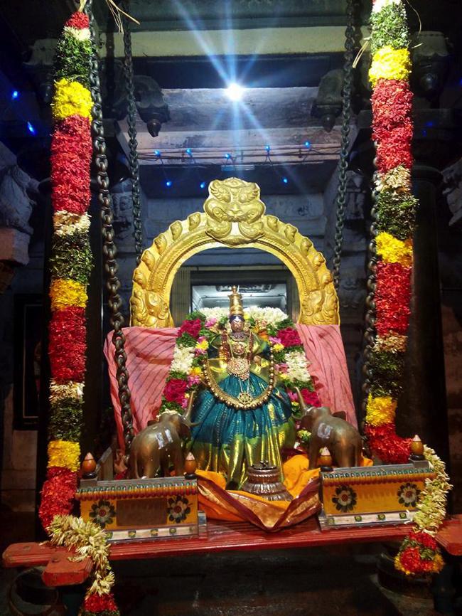 Thirupullani-Sri-Padmasini-Thayar.2